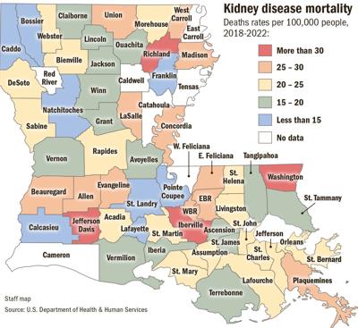 082524 Kidney disease map